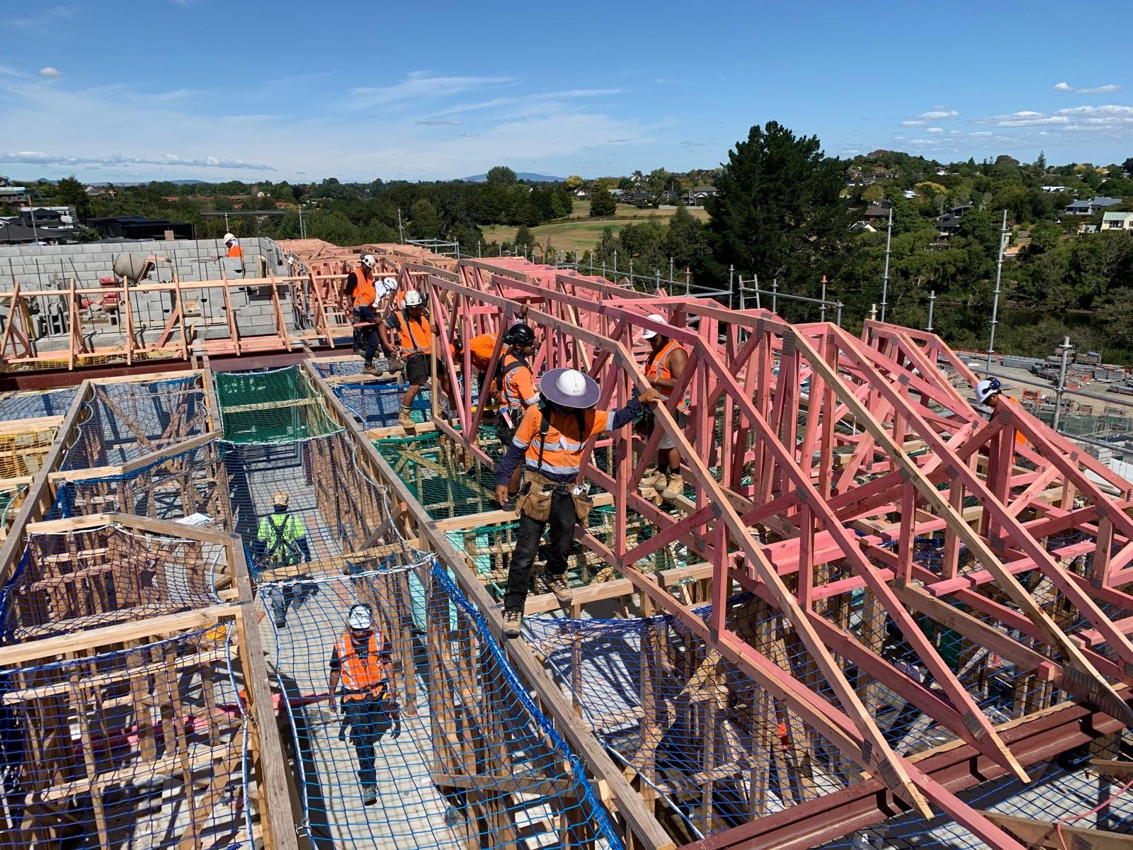 Ryman Greenlane Stage 3 — Gallery 8